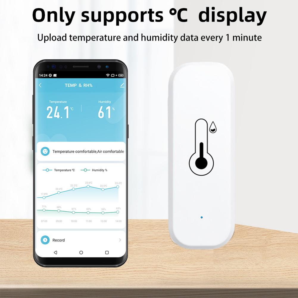 Zigbee/WIFI Smart Temperature  - огляд і ціна Home Cinema Alexa