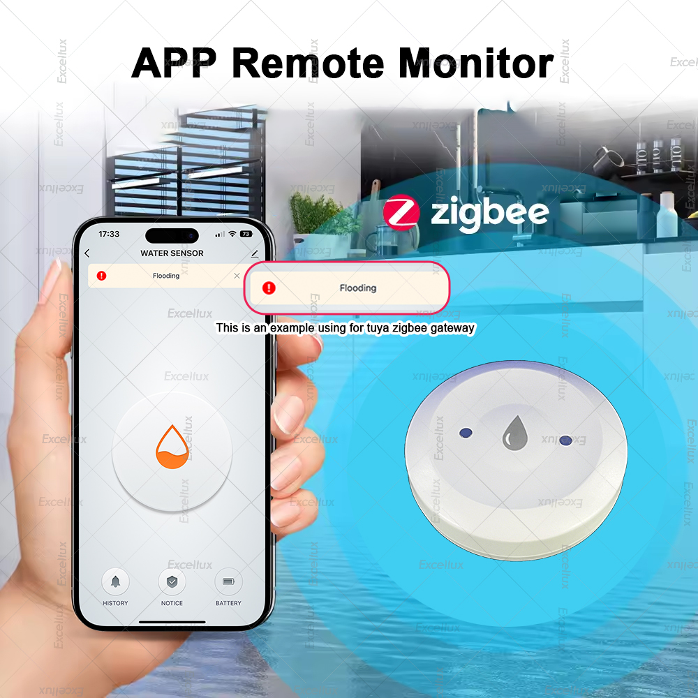 Zigbee Water Detector Leakage  - огляд і ціна Home Cinema Alexa