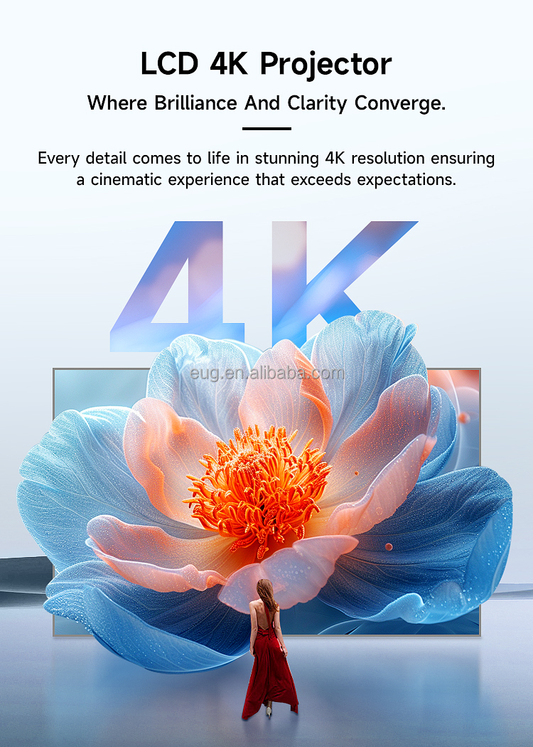 New Design Home Tv Cinema Pock - огляд і ціна Home Cinema Tv