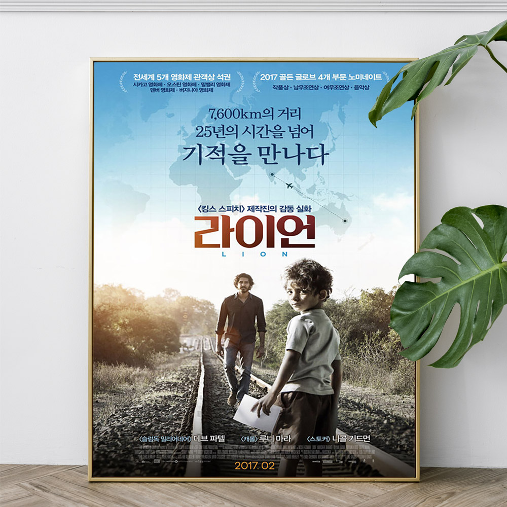 Lion Australian Biographical D - огляд і ціна Home Cinema The Drama