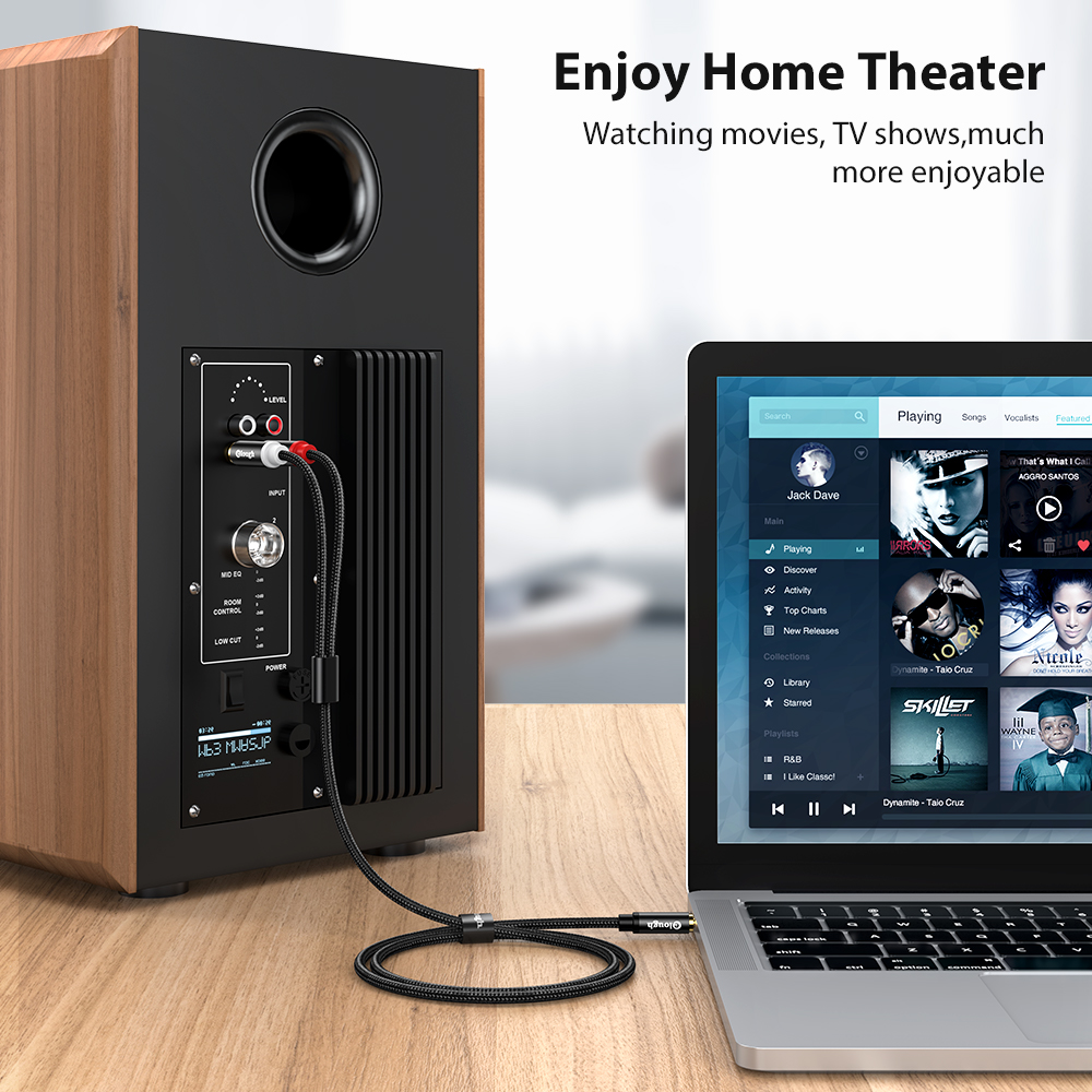 Elough RCA Cable AUX RCA Speak - огляд і ціна Home Cinema Ampli