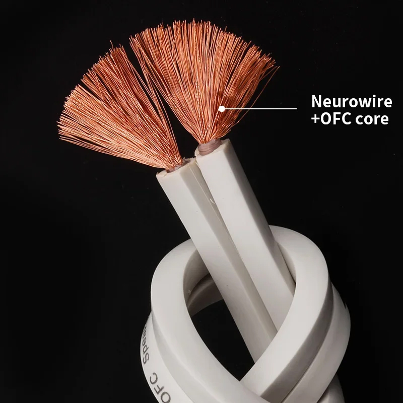 YYTCG DIY Loud Speaker Cable H - огляд і ціна Home Cinema Ampli