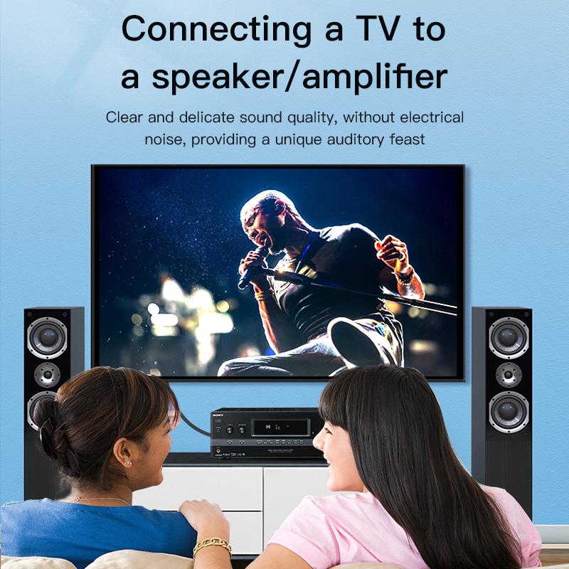 CHOSEAL RCA Cable Digital Coax - огляд і ціна Home Cinema Ampli