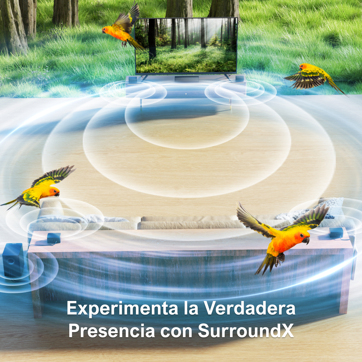ULTIMEA 7.1 Surround Sound Sys - огляд і ціна Home Cinema Tv